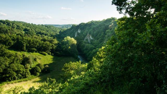 Le Belvédère des Toyères