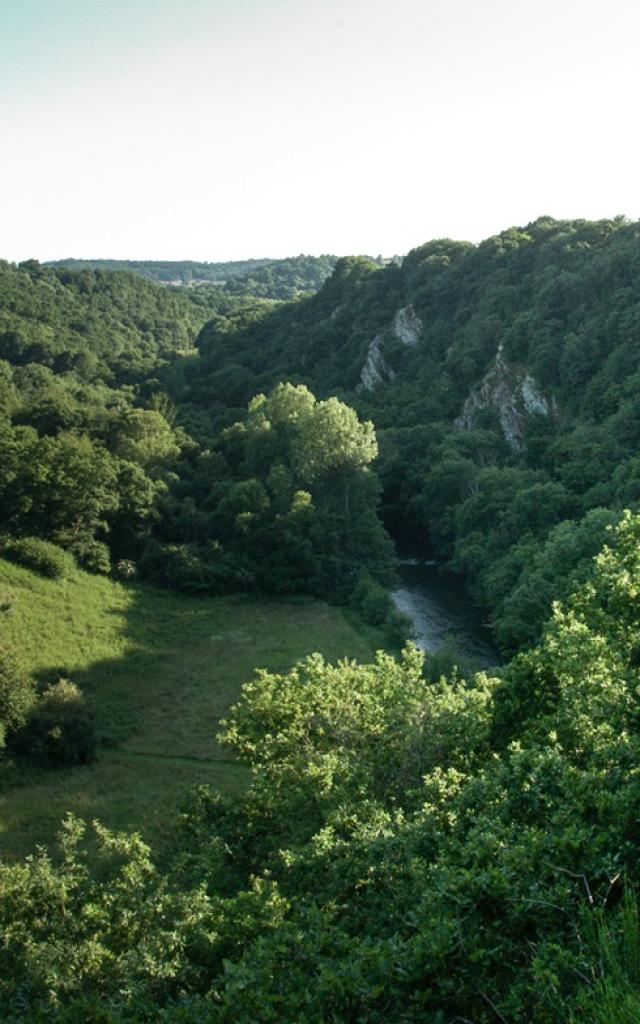 Panoramic view of the Toyères Canyon