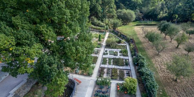 The garden at Domaine du Gasseau