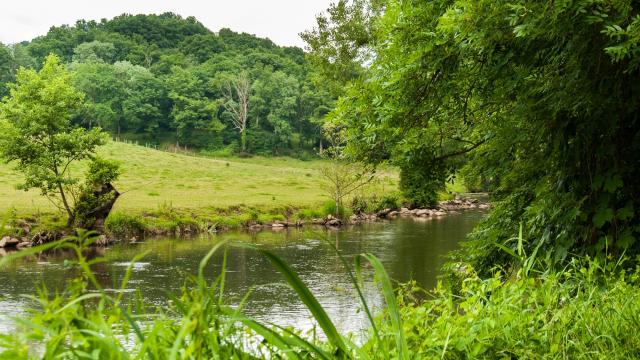 On the banks of the river Sarthe