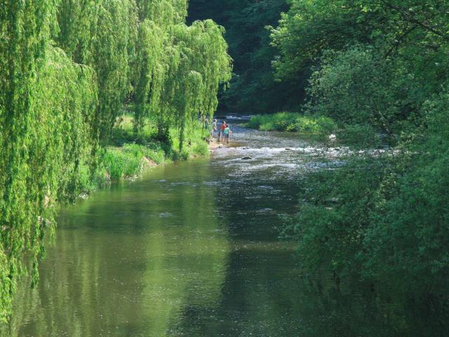 Children on the banks of the Sarthe in Saint-Léonard-des-Bois