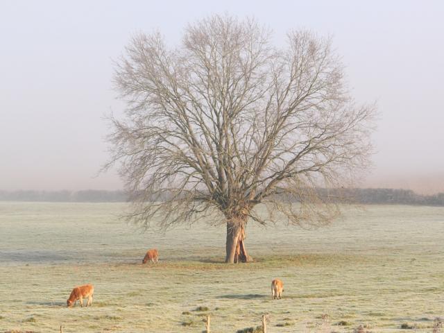 Winter landscape at Sougé-le-Ganelon