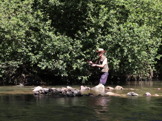 Fishing in Saint-Léonard-des-Bois