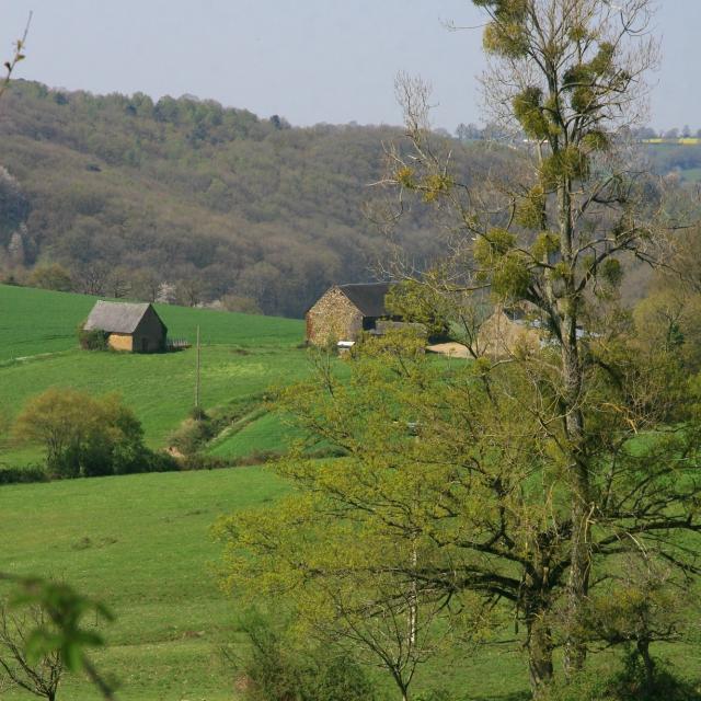 La Prisonnière hiking trail