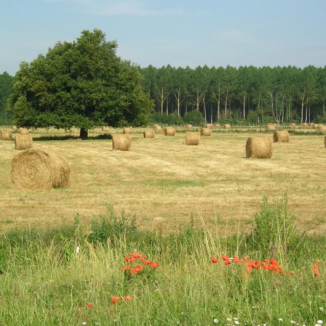 Le Carrouge hiking trails