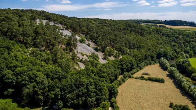 A scree slope on the banks of the river Sarthe