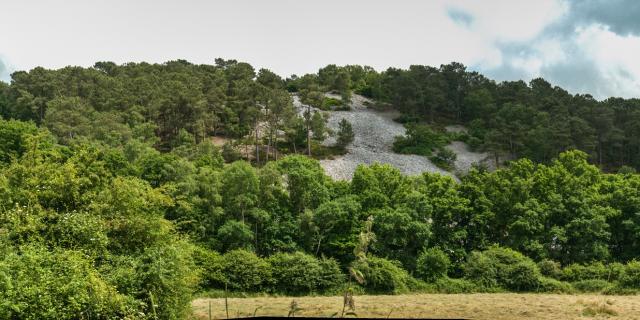 Stones in Saint-Léonard-des-Bois