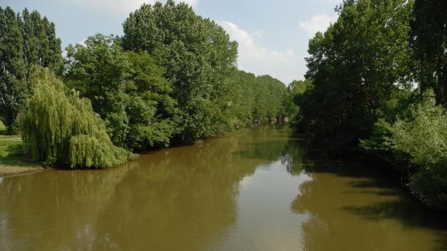 The Sarthe River at Saint-Marceau