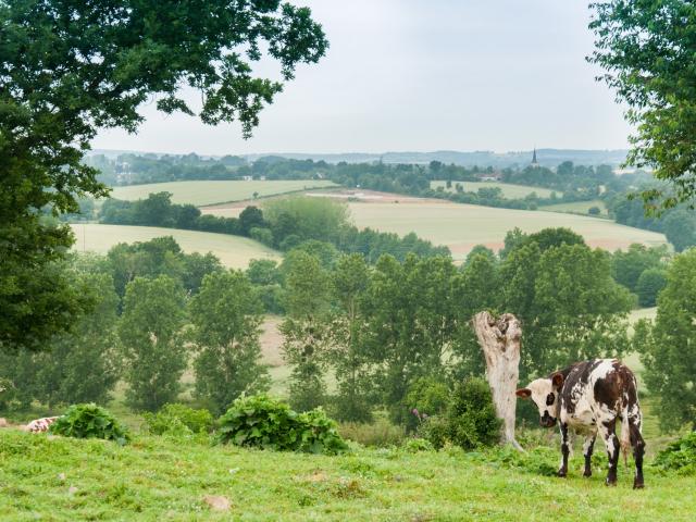 View of the Alpes Mancelles
