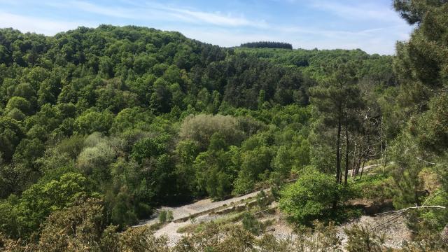 The Valley of Misery