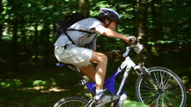 Mountain biking in the forest