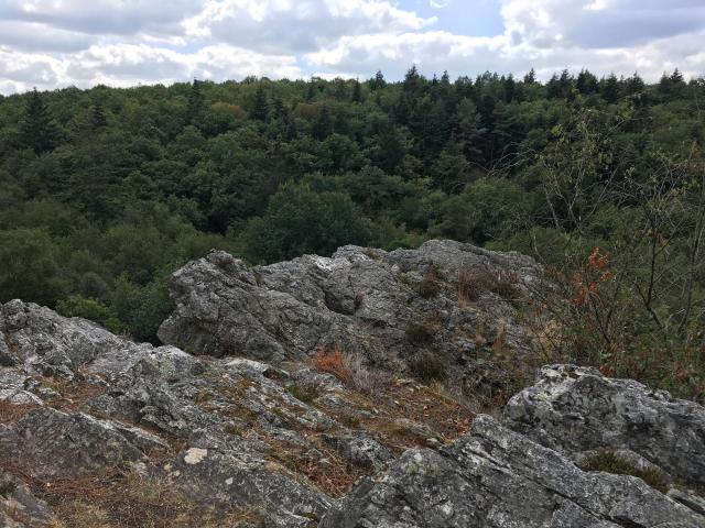 The Roche Brune site