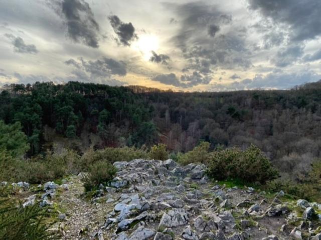 Instagram #saintleonarddesbois