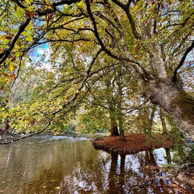 Instagram #alpesmancelles