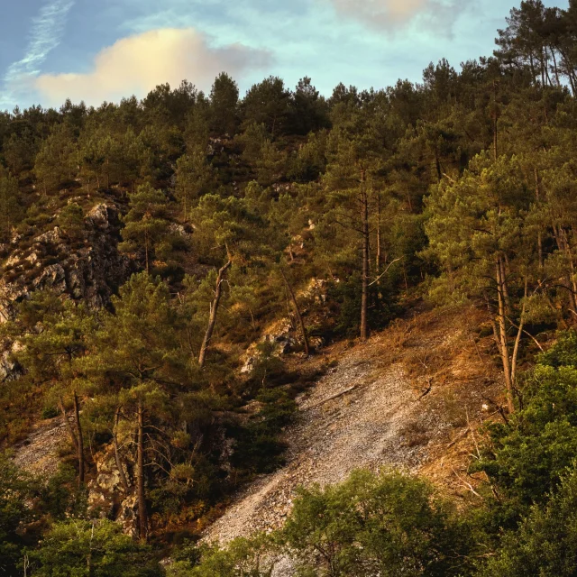 Instagram #alpesmancelles